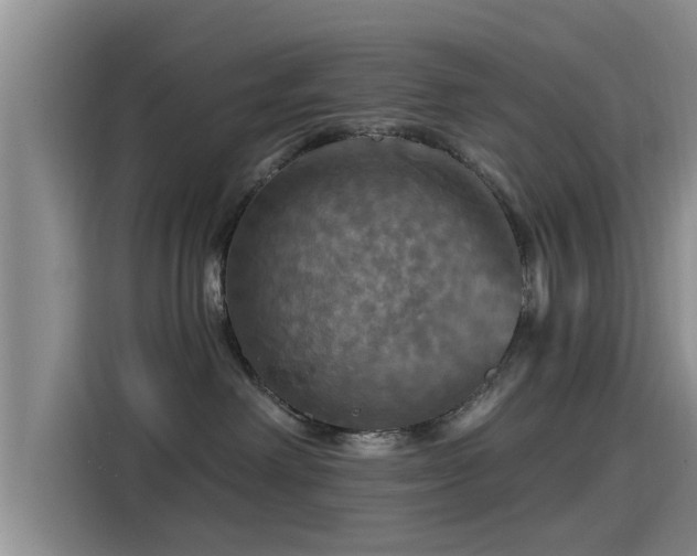 X0000115450238200911121200