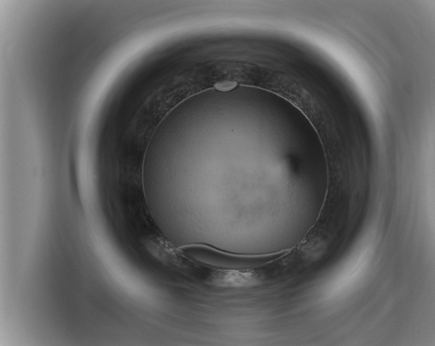 X0000115450239200911121200