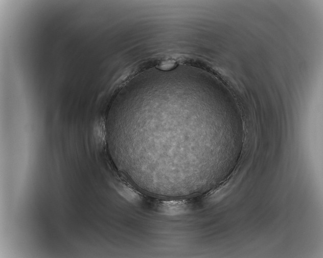 X0000115450240200911121200