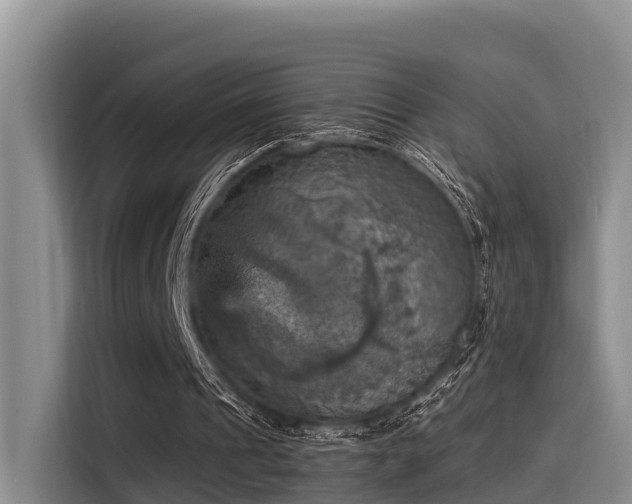 X0000115450241200911121159