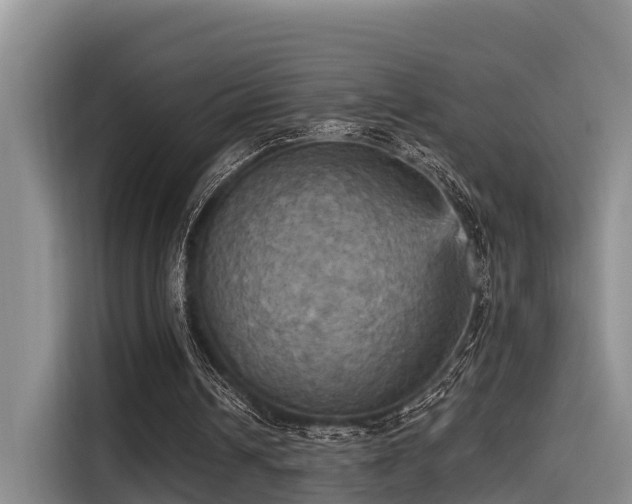 X0000115450242200911121159