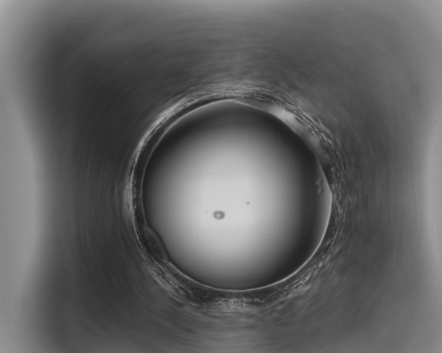 X0000115450244200911121159