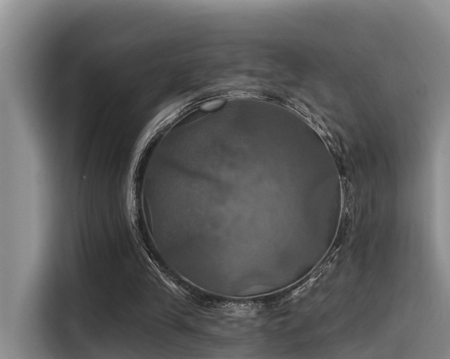 X0000115450245200911121159