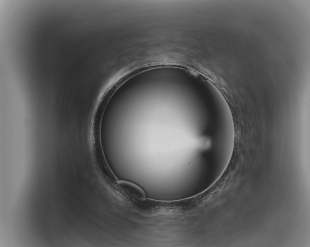 X0000115450248200911121159