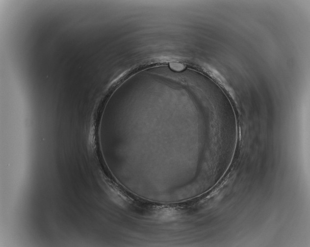 X0000115450249200911121159