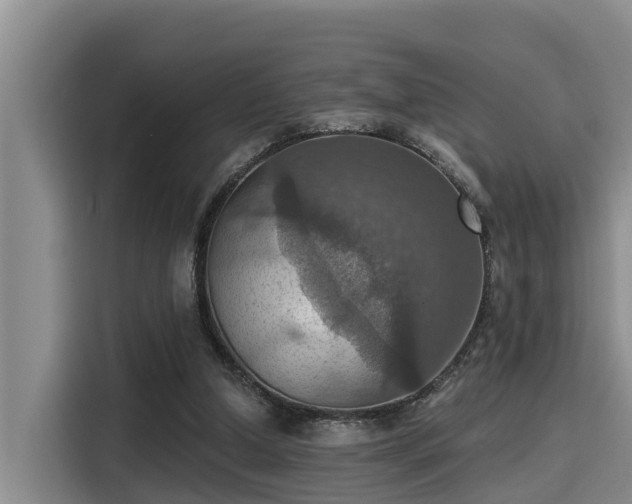 X0000115450250200911121159