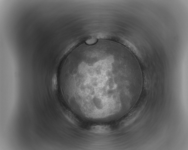 X0000115450251200911121159