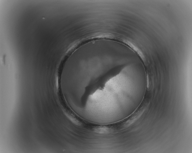 X0000115450253200911121159