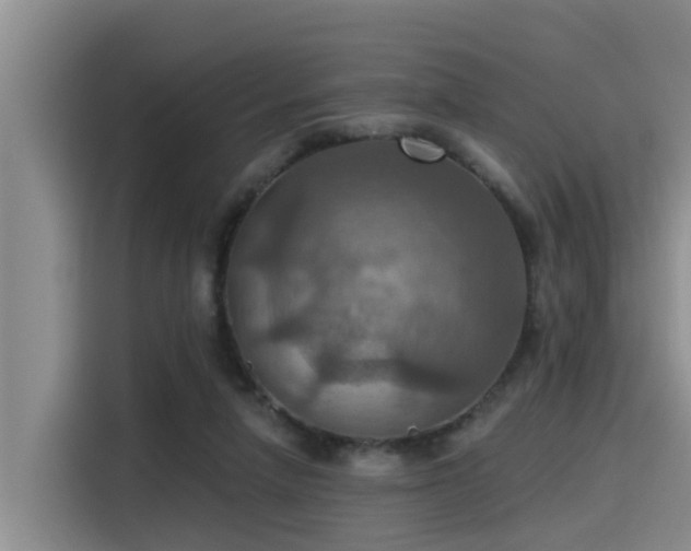 X0000115450258200911121159