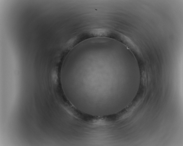 X0000115450259200911121159