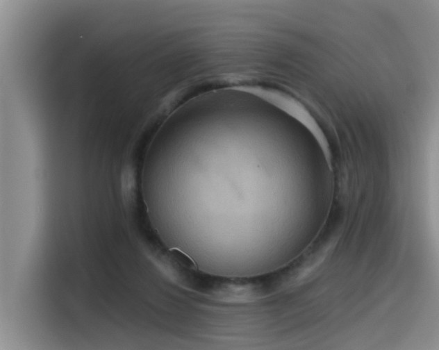 X0000115450260200911121159