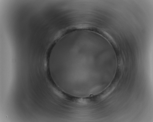 X0000115450261200911121159