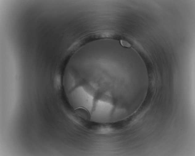 X0000115450262200911121159