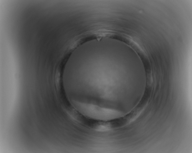 X0000115450263200911121159