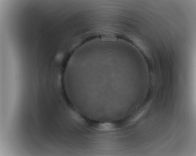 X0000115450269200911121159