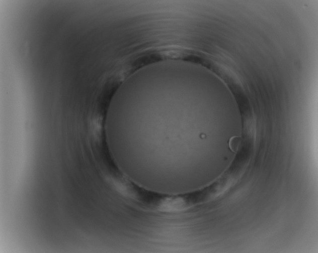 X0000115450271200911121200