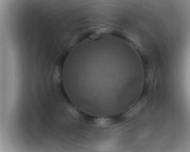 X0000115450273200911121200