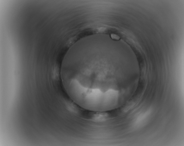 X0000115450274200911121200