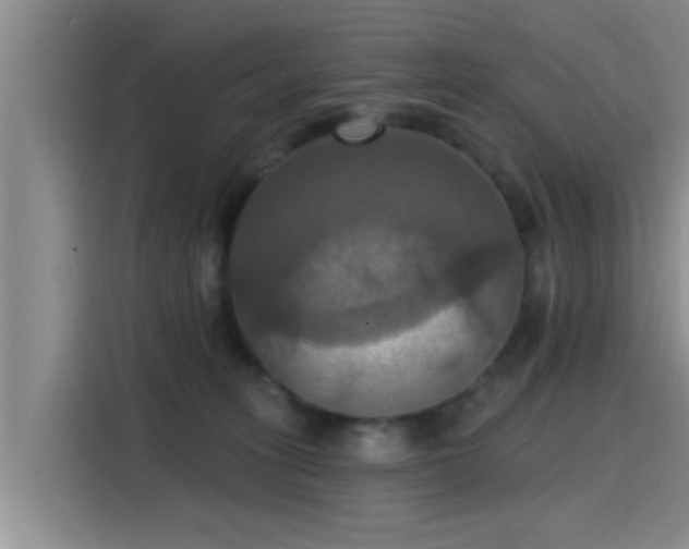 X0000115450275200911121200