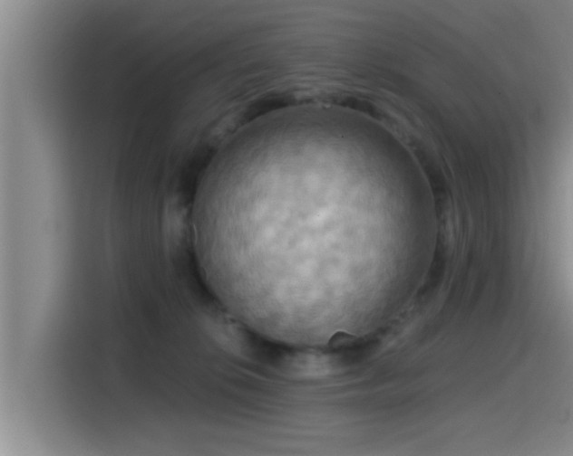 X0000115450276200911121200