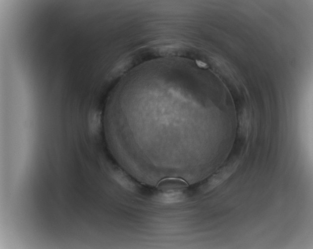 X0000115450278200911121200