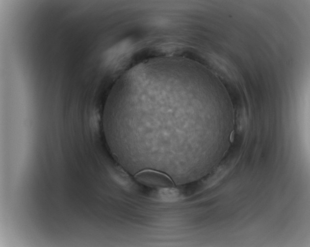 X0000115450279200911121200