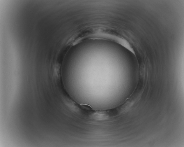 X0000115450280200911121200