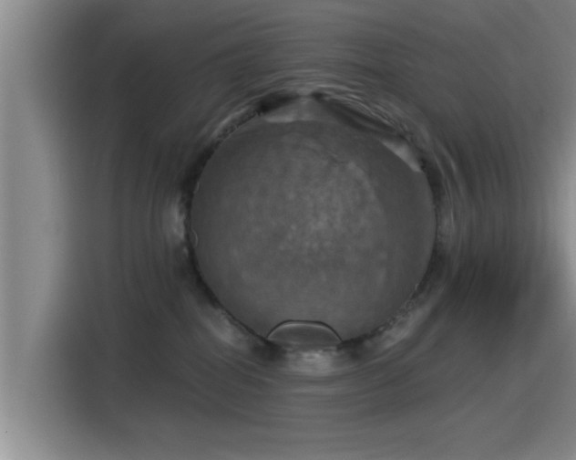 X0000115450282200911121200