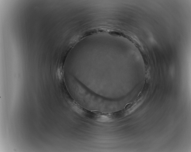 X0000115450285200911121200