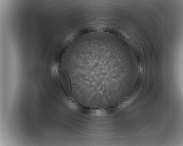 X0000115450286200911121200