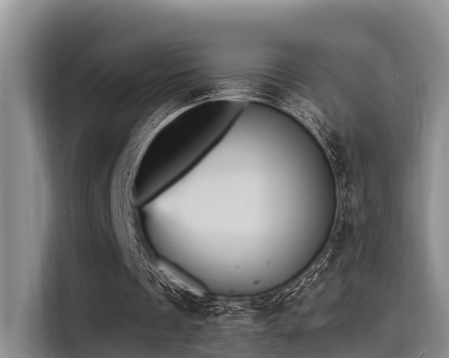 X0000115450289200911121159