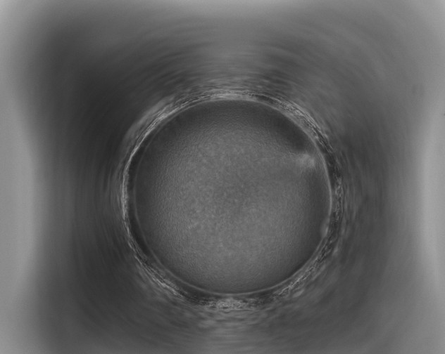 X0000115450290200911121159