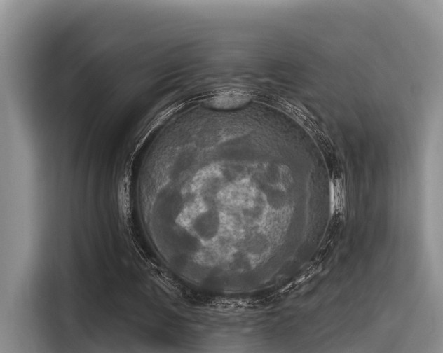 X0000115450291200911121159