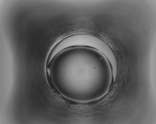 X0000115450292200911121159