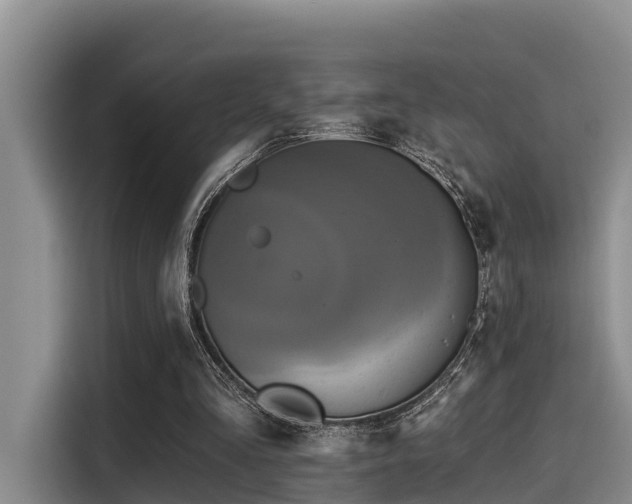 X0000115450293200911121159