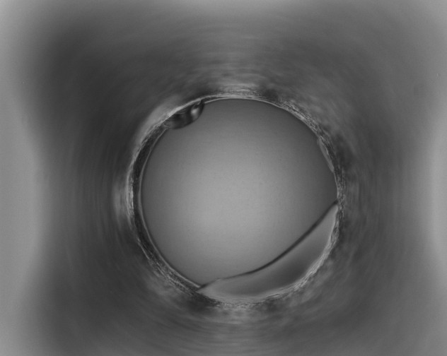 X0000115450294200911121159