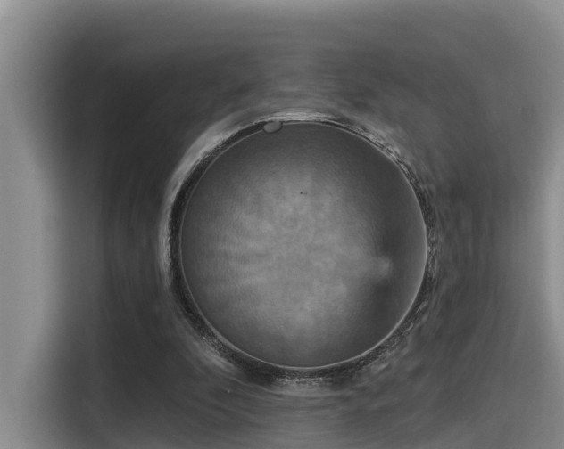 X0000115450296200911121159