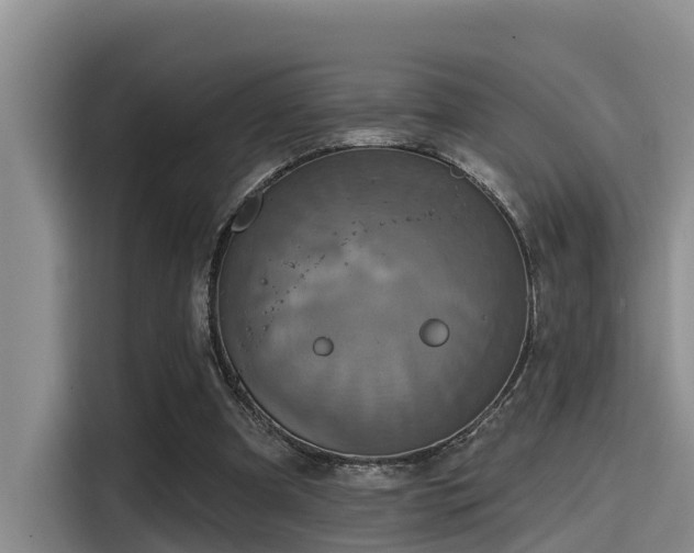 X0000115450297200911121159