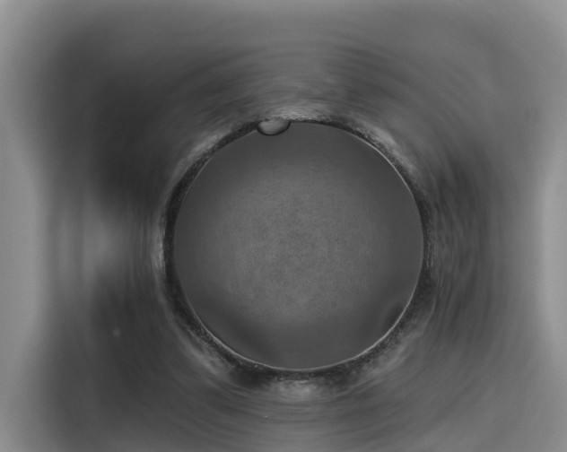 X0000115450299200911121159