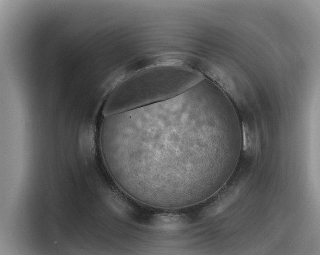 X0000115450300200911121159