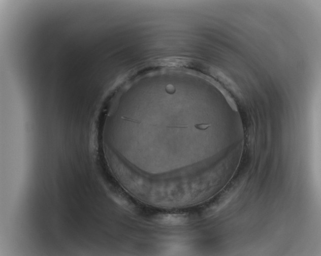 X0000115450303200911121159