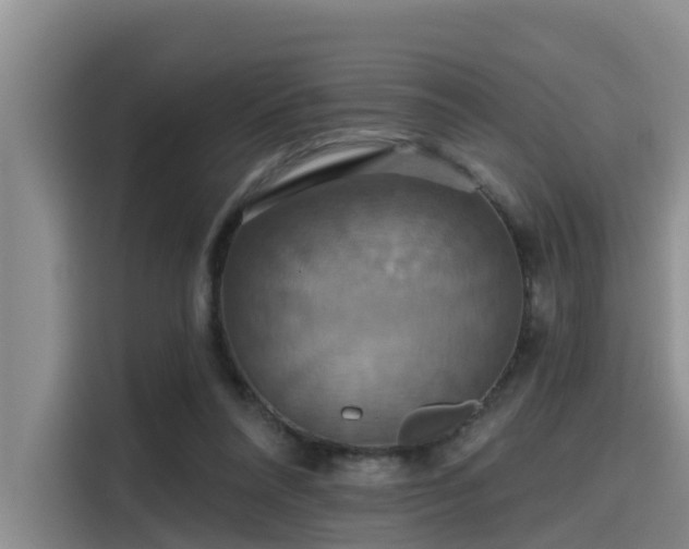 X0000115450304200911121159