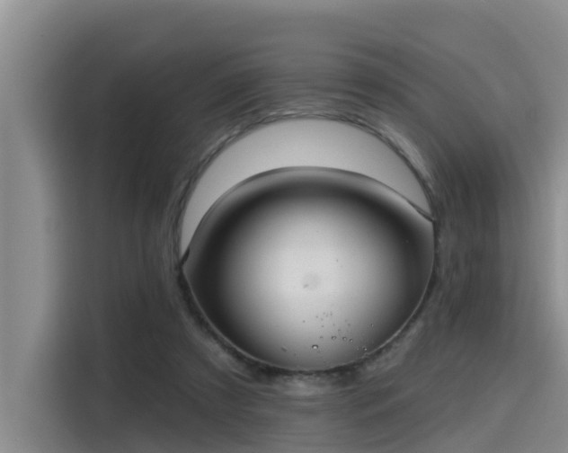 X0000115450305200911121159