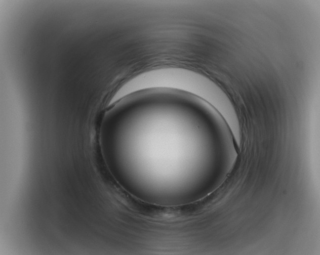 X0000115450308200911121159