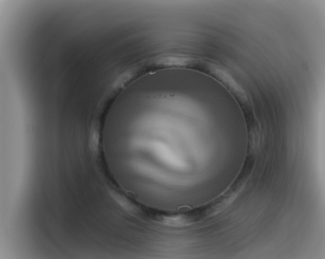 X0000115450309200911121159