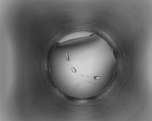 X0000115450313200911121159