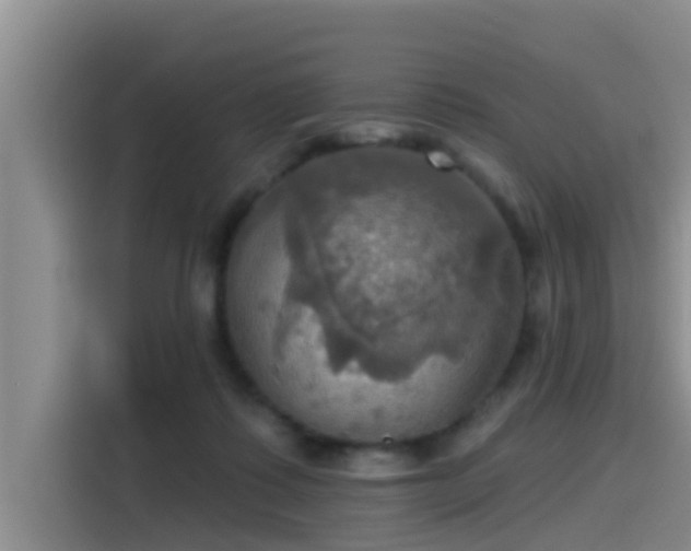 X0000115450315200911121159