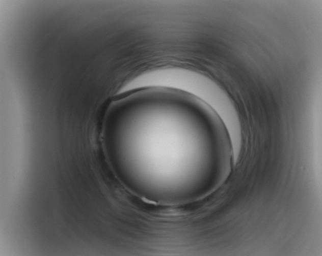 X0000115450316200911121159