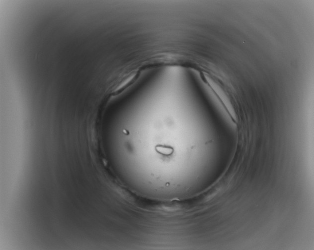 X0000115450317200911121159