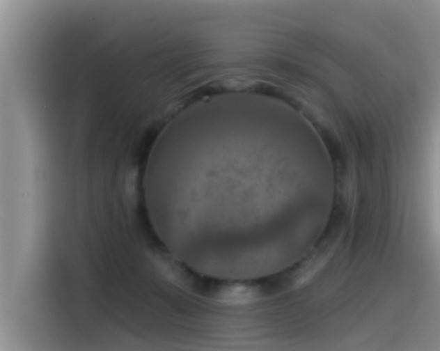 X0000115450319200911121159